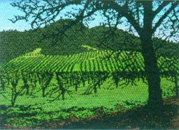 The Grape Escape